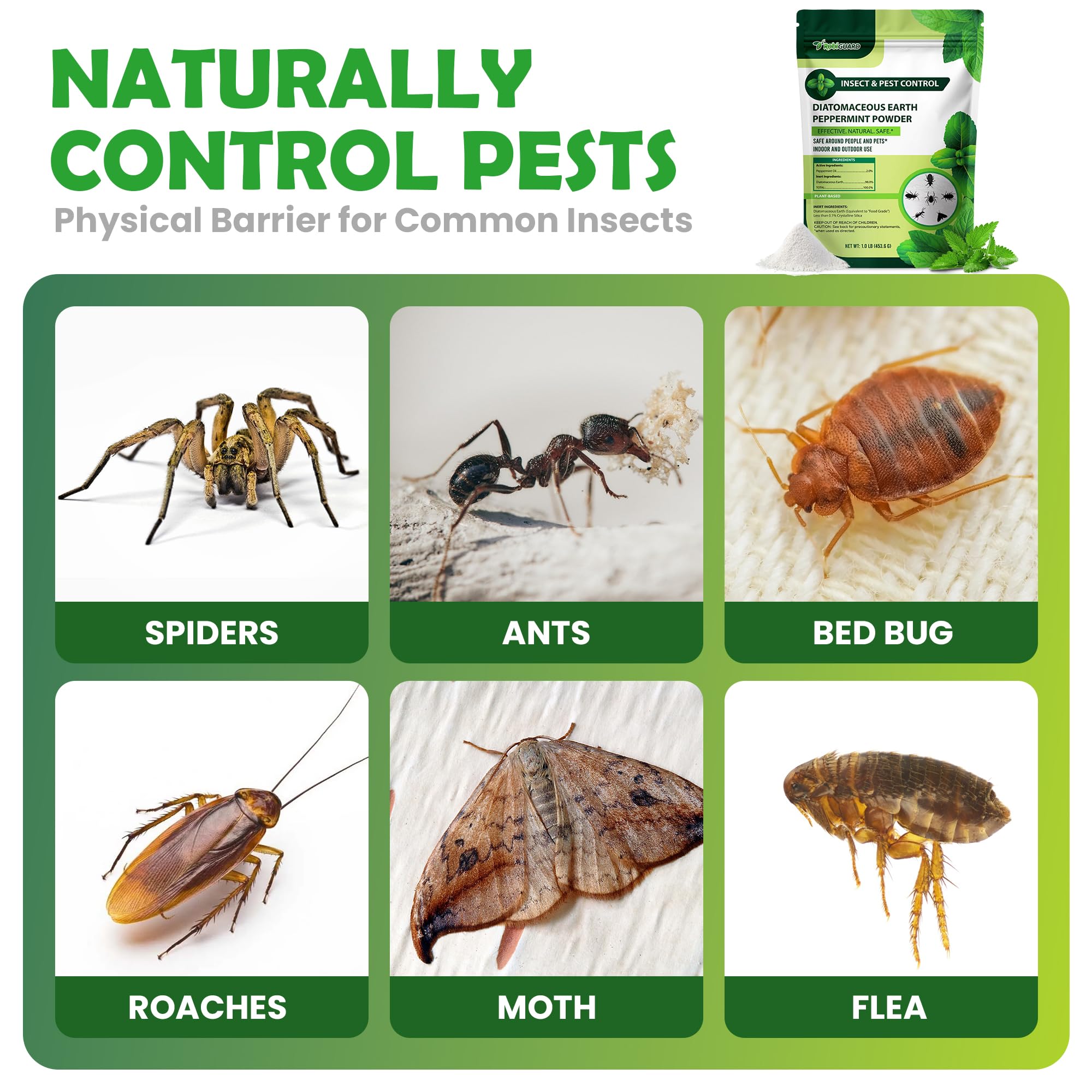 Diatomaceous Earth Food Grade & Peppermint Powder for Crawling Insect and Pest Control – 1 lb - Image 4